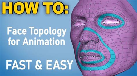 Easy Face Topology For Animation | Face topology, Topology, Face study