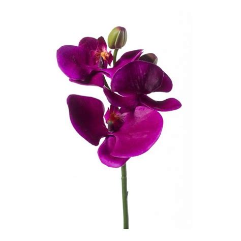 Rama De Orqu Deas Phalaenopsis Artificial Daniela Violeta Cm