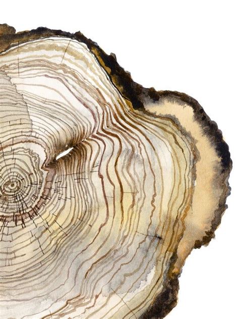 Tree Ring Printable Wall Art Set Of 2 Tree Stump Instant Digital Print