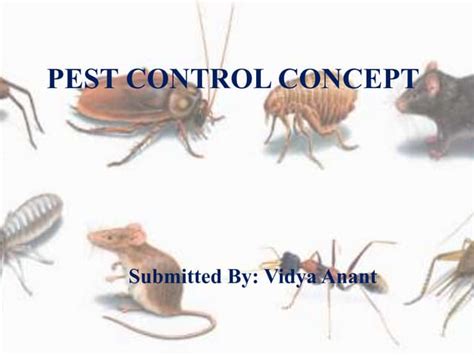 Pest Control Concept Ppt