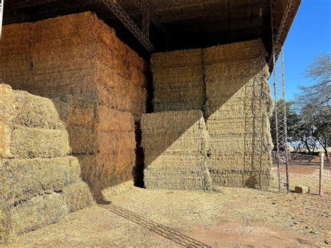 Megafardos De Alfalfa Enteros Y Picados 16 Agroads