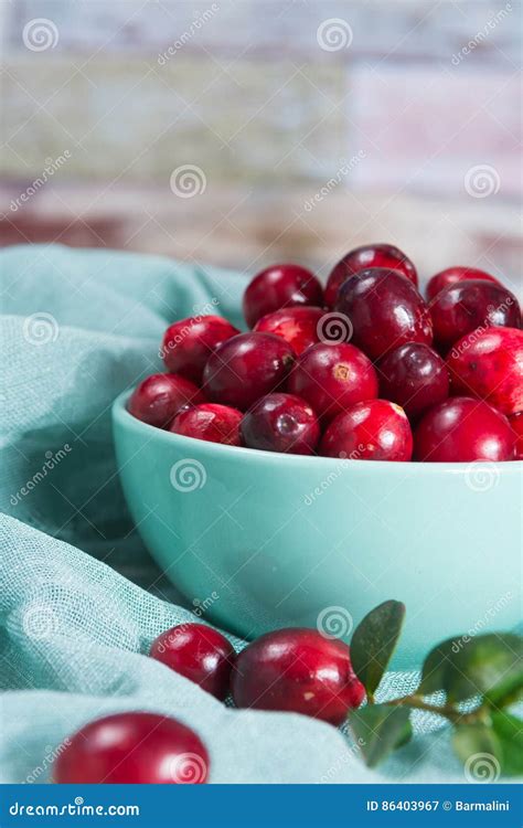 Fresh Cranberries In A Blue Bowl Ripe Berries Of Vaccinium Macrocarpon