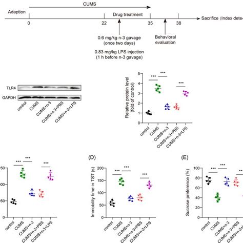 Tlr Activation Could Reverse The Inhibitory Effect Of N Pufas On