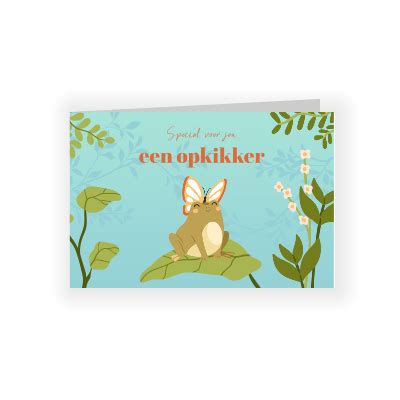 Opkikker Beterschapskaart Met Kikker