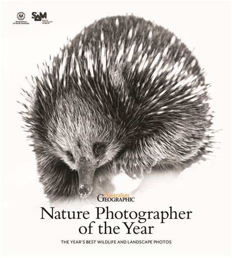 Winners: 2023 Australian Geographic Nature Photographer of the Year ...