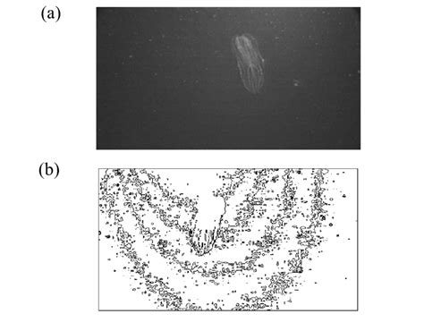 Luminance Contours Under Nonuniform Illumination No Unique Luminance