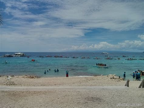 Travel Stories: Whale Sharks at Oslob - Jonathan Lee