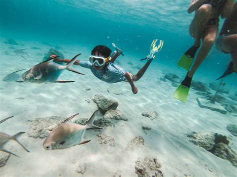 Home Coraloceanaruba Aruba Private Snorkeling Tours