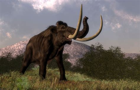 What (or Who) Killed the Planet's Big Mammals?