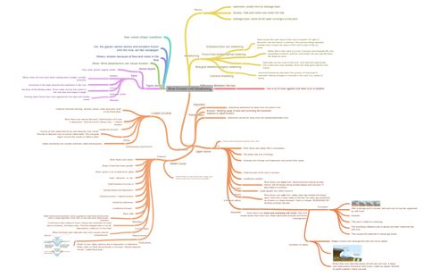 River Erosion And Weathering - Coggle Diagram