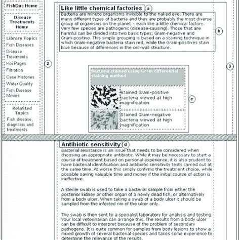 Screenshot of an example web document | Download Scientific Diagram