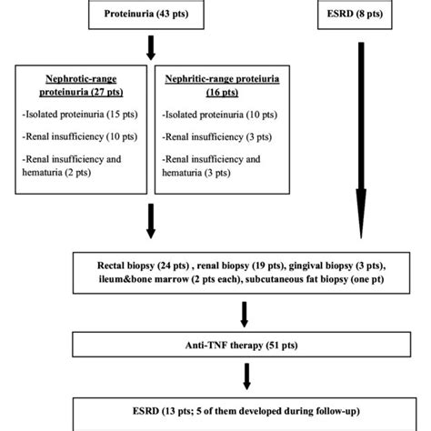 Presentation Findings And Investigation Of Secondary Amyloidosis In As