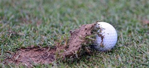 Tired Of The Beaver Pelt Here S How To Stop Hitting Behind The Golf Ball