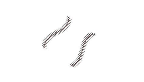 Baseball Seams Vector - ClipArt Best