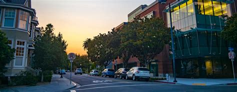 Mountain View Pest Control Local Exterminator In Mountain View