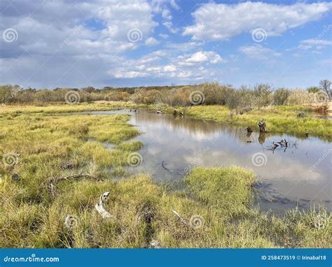 Flooded Floodplain Of Lake Khanka In Autumn Russia Primorsky Krai