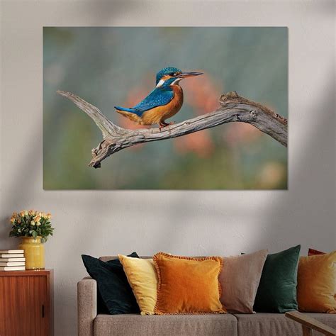 IJsvogel van IJsvogels nl Corné van Oosterhout op canvas behang en meer