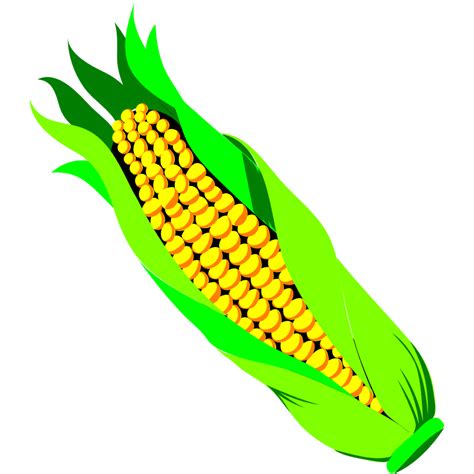 Corn Field Clip Art - Cliparts.co