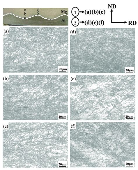 Microstructure Of The Az31b Of As Rolled Cfr Mg Al Laminated Composite