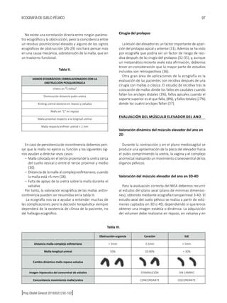 Gap Ecografia Suelo Pelvico Pdf