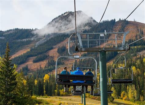 Kicking Horse Gondola & Grizzly Refuge Tour | Banff Adventures