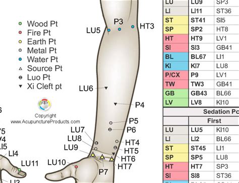 Shu Points Chart Acupuncture Points Desktop Wall Paper Front Mu And