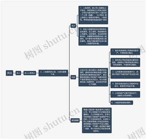 民法 人格混同的认定思维导图编号t7496154 Treemind树图