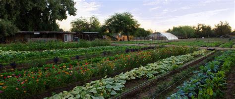 The Farm - Artisan by Santa Barbara Catering