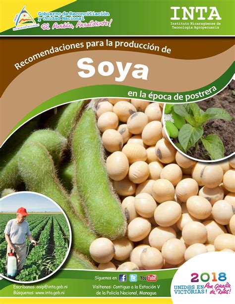 Recomendaciones para la producción de soya en el ciclo de postrera 2018