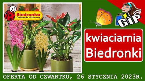 BIEDRONKA Oferta Od Czwartku 26 01 2023 Kwiaciarnia Biedronki