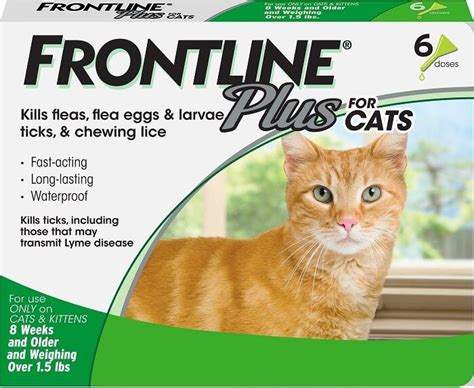 Frontline Plus for Cats: Overview, Dosage & Side Effects - Cats.com