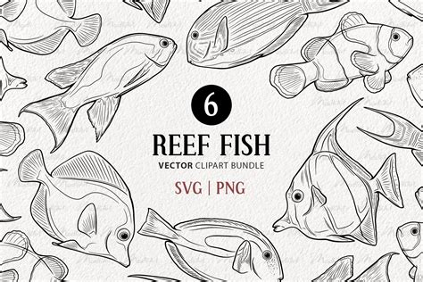 Reef Fish Vector Clipart Set | Tropical Fish SVG - Design Cuts