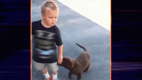 Dog Fail GIF - Dog Fail Worldsfunniest - Discover & Share GIFs