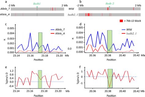 Ld Block Nucleotide Diversity And Tajimas D In Badhs Regions Green