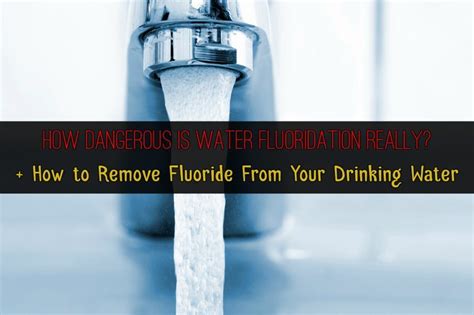 The Dangers Of Fluoride In Water + How To Remove It