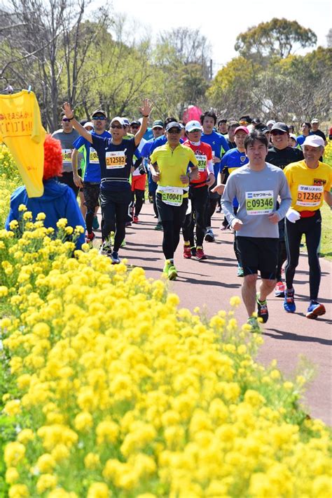 さが桜マラソン2023 春の肥前路待ち遠しく 3月19日、4年ぶりの“リアル”開催 スポーツ 佐賀県のニュース 佐賀新聞