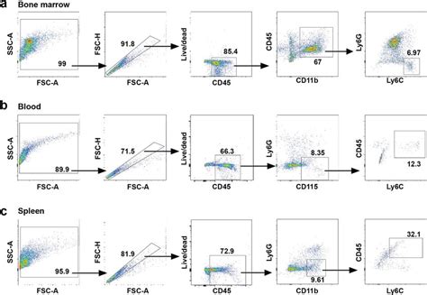 Gating Strategy For Monocytes And Macrophages In Bone Marrow Blood And