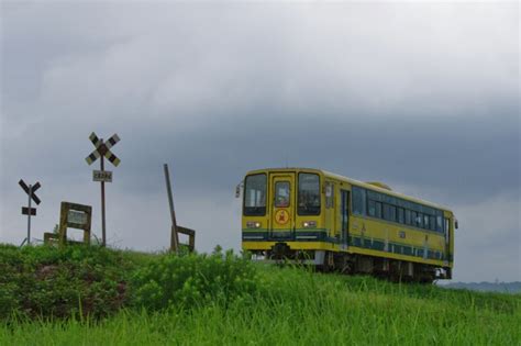 いすみ鉄道いすみ100・200・200形気動車 いすみ206 上総中川駅 鉄道フォト・写真 By Fm 805dさん レイルラボ