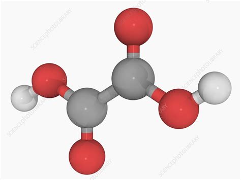 Oxalic Acid Molecule Stock Image F0046536 Science Photo Library