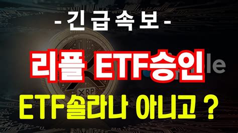 리플 필수시청 리플 Etf 승인 솔라나 아님 Youtube