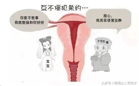 劇說新解：子宮肌瘤為何影響懷孕？ 每日頭條