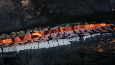 Fire flame burning logs of logs. smoke. ... | Stock Video | Pond5