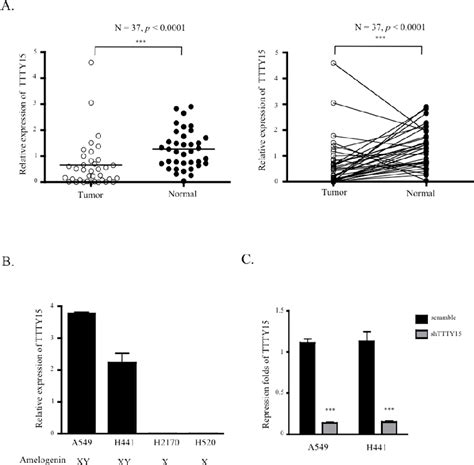 Figure From Male Specific Long Noncoding Rna Ttty Inhibits Non