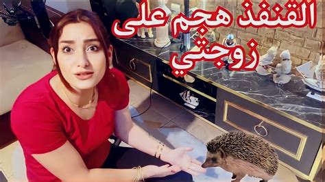 اقوى مقلب بزوجتي🤪 ردة فعلها صدمه تفاجأت بوجود قنفذ بالبيت جنت ياحرام مقلب لا يفوتك😂😂😂😂😂 Youtube