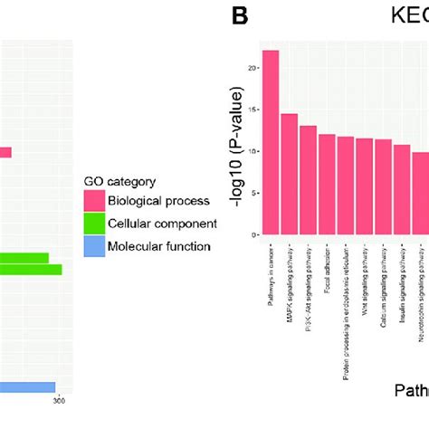 Go Enrichment And Kegg Pathways Of Predicted Mirna Target Genes A Go