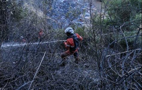 Incendio Di Bosco Ad Andora Vigili Del Fuoco Mobilitati Ivg It