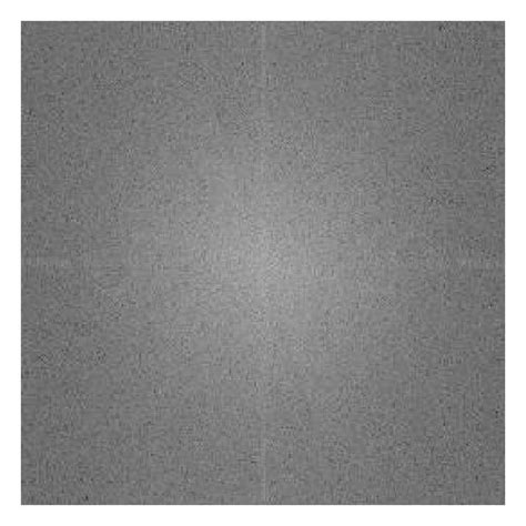 Comparison Of Random Electrospun Pcl Plga Material And Aligned