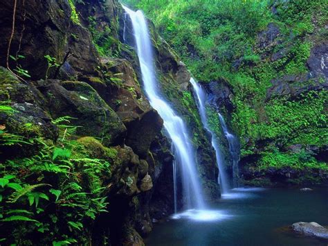 Honokohau Falls in Maui | Hawaii pictures, Hawaii waterfalls, Island falls