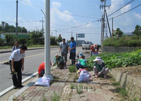 당진2동 새마을협의회 추석맞이 도로변 제초작업