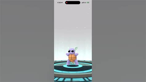 Evolving Shiny Sunglasses Squirtle Into Shiny Sunglasses Wartortle In Pokémon Go Youtube